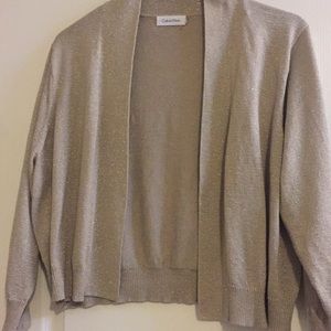 Women Sparkling Crop Sweater